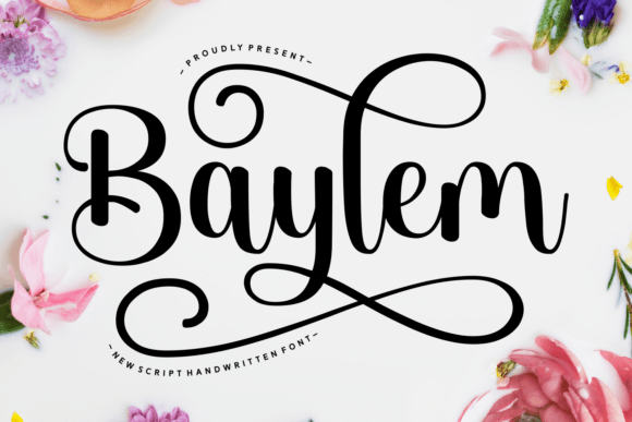 Baylem: The Font That Elevates Your Brand