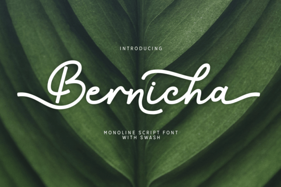 Bernicha: A Script Font for Modern Web Design