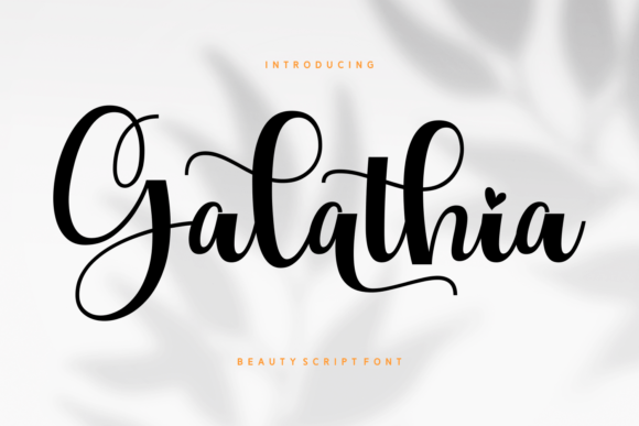 Galathia: A Script Font for Editorial Grace