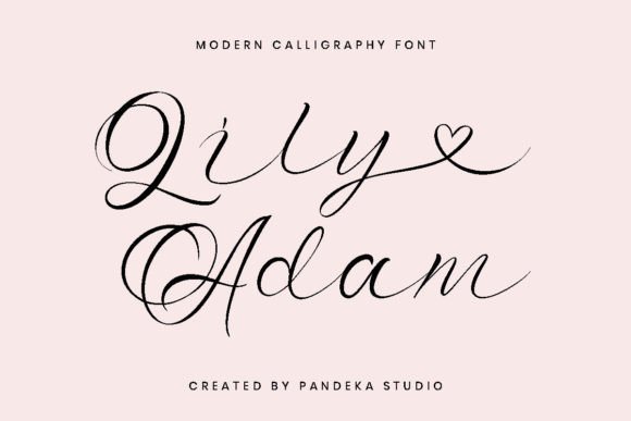 Lily Adam: The Font That Elevates Your Brand