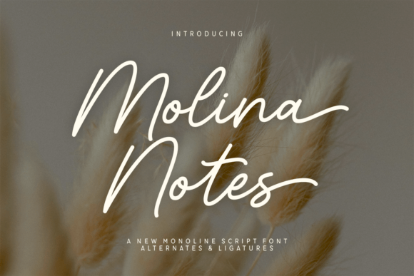 Molina Notes: A Font That Elevates Branding